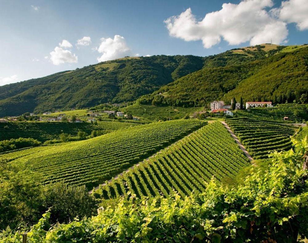 Follinetta10 - Enjoy Holiday Home In The Prosecco Hills Follina Екстериор снимка